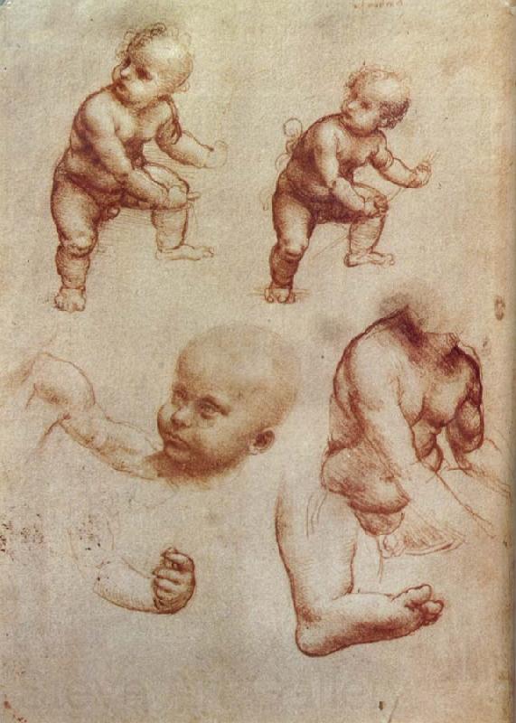 LEONARDO da Vinci Drawing of an Infant Norge oil painting art